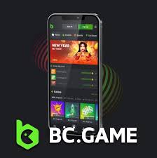 Discover the Thrills of BC.Game Mirror Official