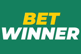 BetWinner Bookmaker Review Your Complete Guide to Winning