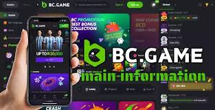 Experience Thrilling Poker Action at BC.Game
