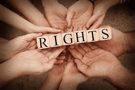 The Importance of Human Rights Defense in Today's Society 1358156348