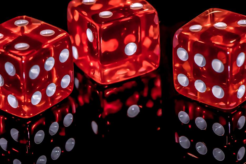 wild dice casino