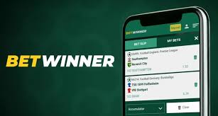 Step-by-Step Guide to BetWinner Sign Up Process -876222980