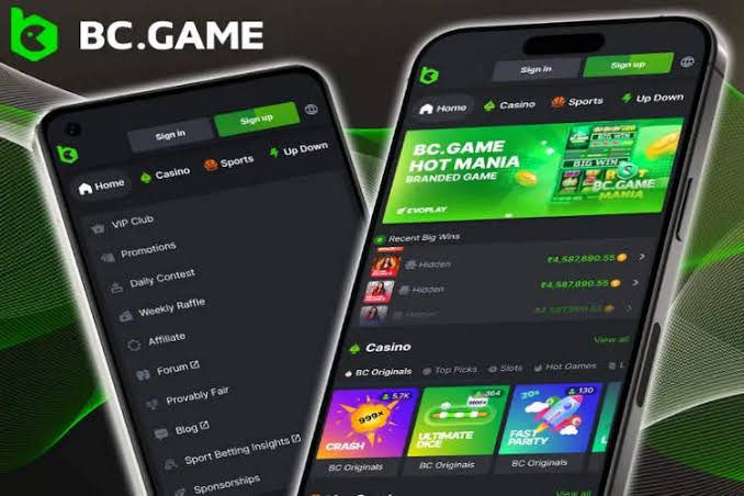 Exploring Payment Options on BC.Game